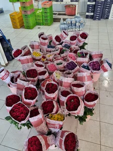 گلخانه کوروش احدی