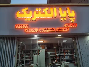 پایا الکتریک 2