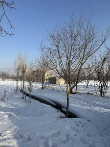 باغ ویلای خانوادگی جمالیها