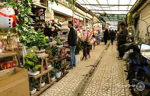 Flower and gardening shop