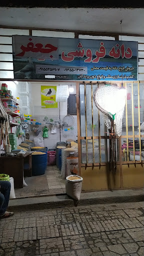 دان پرنده جعفر