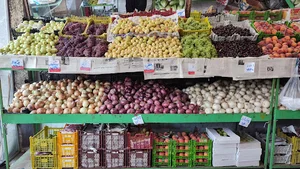 میوه‌سرای مهدی