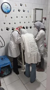 کلینیک دامپزشکی ماهور 5