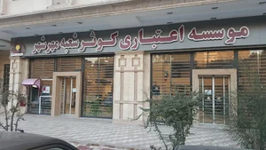 موسسه اعتباری کوثر
