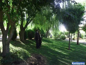 بوستان گلریز 2