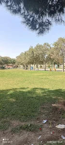 پارک ساده