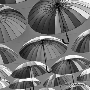 دنیای خاکستری