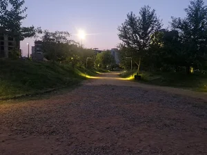 پارک بسکی