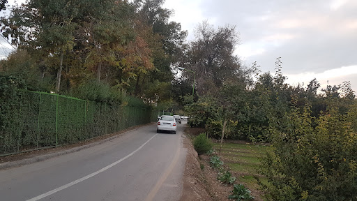 بوستان ناژوان
