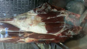 مرغ و گوشت طاهری