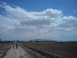 مرغداری و مزرعه شهاب دشت