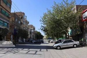 پیتزا امید