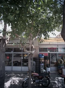 تایر شاهی