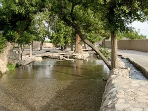 بناب کبابی افق
