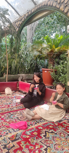 غذای خانگی بوغدا