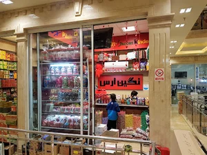 نگین ارس