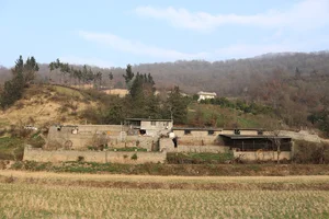 دامداری رمضانعلی علیپور تلوکلایی