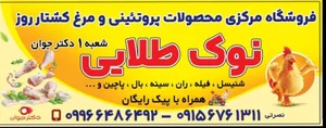 کارگاه بسته بندی مرغ نوک طلایی
