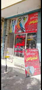 فروشگاه ملزومات پرنده ققنوس