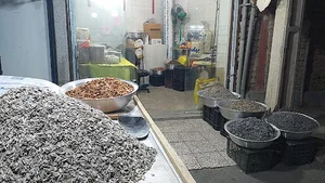 آجیل و خشکبار بنی فضل