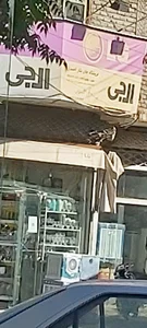 لوازم خانگی جان نثار
