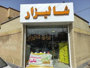 برنج شالیزار