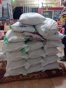 موسی