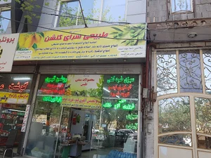 سبزی اماده و ترشیجات گلشن