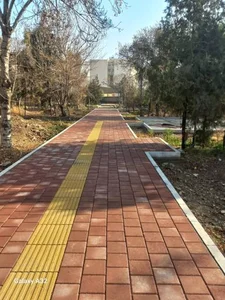 باغ ایرانی 2