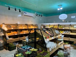 میوه سرای پاپایا 3