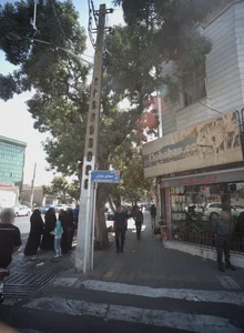 گل نوبهار
