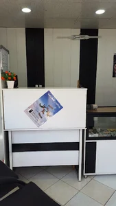 موبایل علیزاده