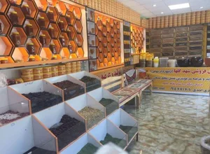 عسل فروشی ارث پدر 3