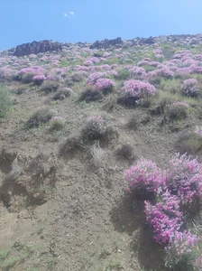 جاده کندر