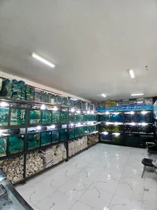 آکواریوم ساحل
