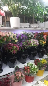 گل اووکادو (گل‌آرایی شفیعی)