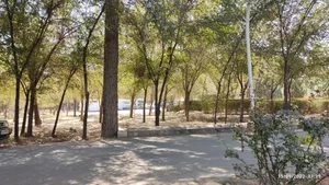 بوستان جنگلی غدیر 3