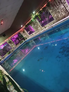 باغ رستوران شب 3