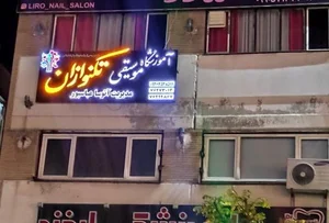 آموزشگاه موسیقی تکنوازان 2