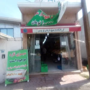 ارزانکده میوه پدر و پسر 2