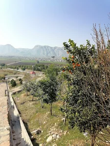 باشت باوی