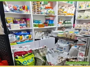 پت شاپ تهران طوطی 2