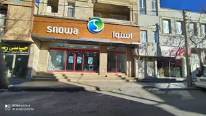فروشگاه اسنوا