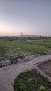 باغ سبزی مش احمد 2