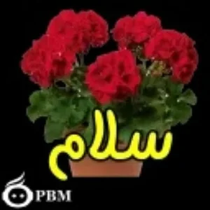 تعمیرگاه