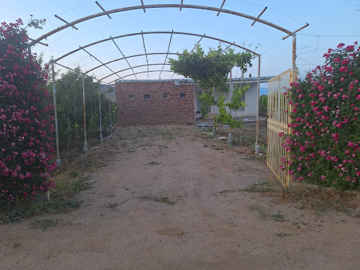 باغ منصور کریم خانی