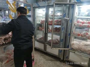 عمده فروشی مرغ آرین 2