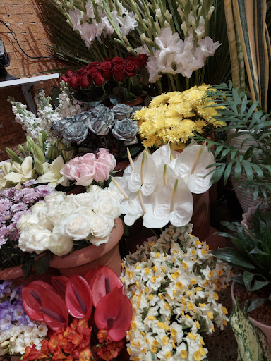 گلفروشی عرفان