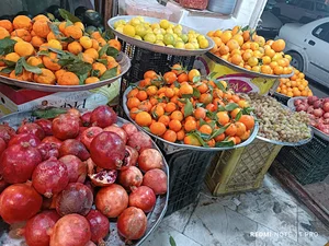 میوه سرای آزاده