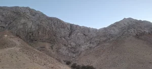 تاکک